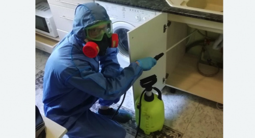 Уничтожение муравьев в квартире. Лихоборы