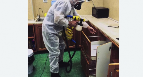 Уничтожение насекомых в квартире. Лихоборы