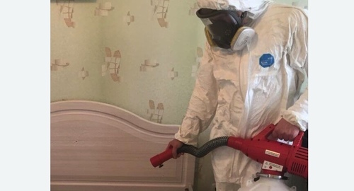 Уничтожение клещей в квартире. Лихоборы