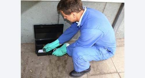 Уничтожение мышей. Лихоборы