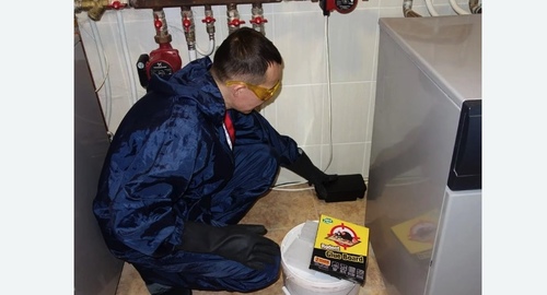 Дератизация крыс. Лихоборы