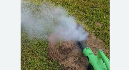 Обработка от кротов Лихоборы метро Москвы