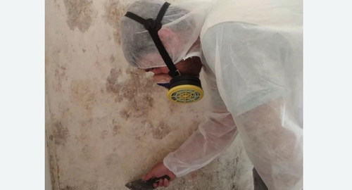 Обработка стен от плесени Лихоборы метро Москвы