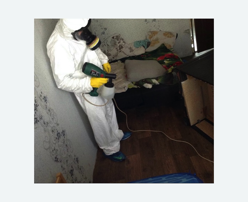 Обработка от насекомых Лихоборы метро Москвы Обработка квартиры от насекомых