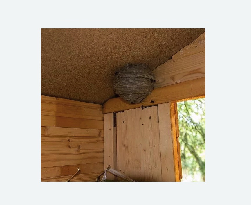 Обработка от ос Лихоборы метро Москвы Обработка от ос