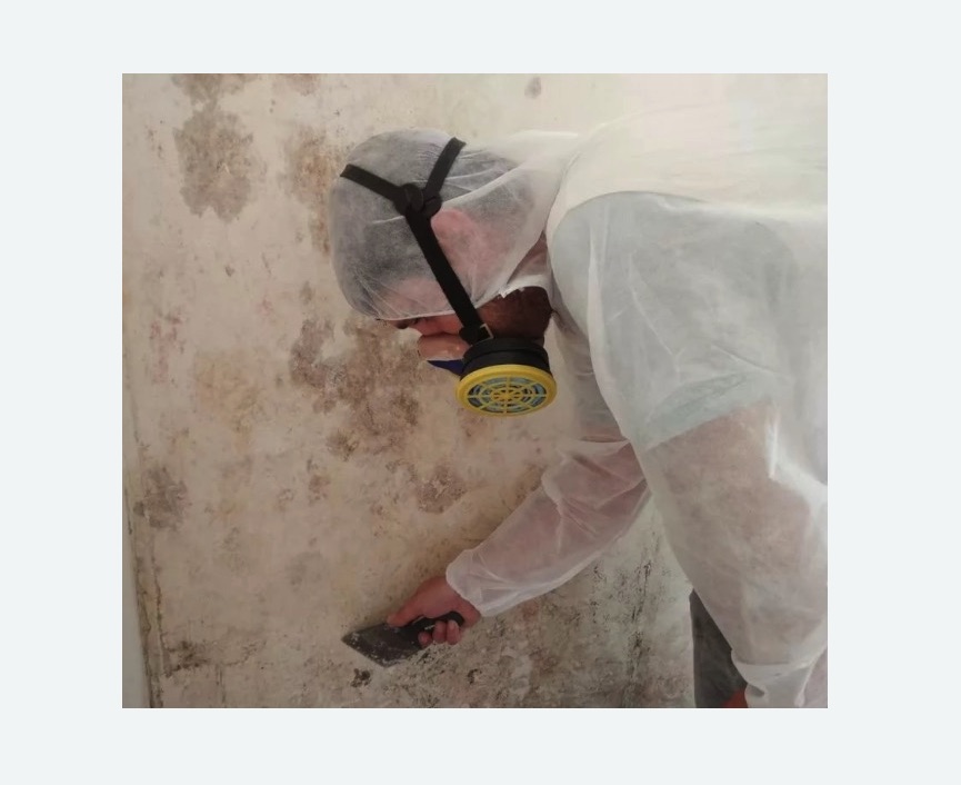 Обработка стен от плесени Обработка стен от плесени Лихоборы метро Москвы