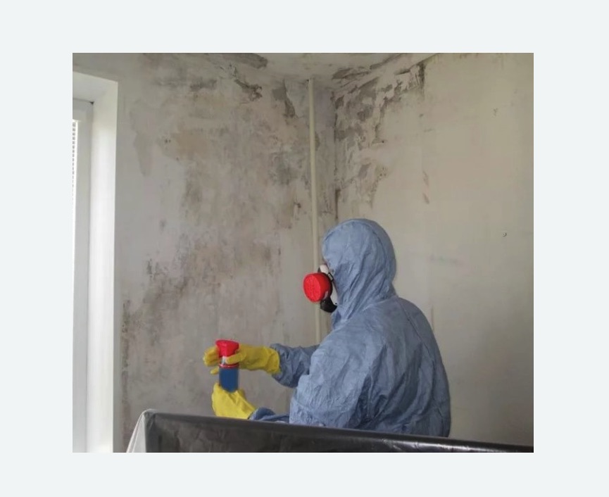 Удаление плесени в квартире Удаление плесени в квартире Лихоборы метро Москвы