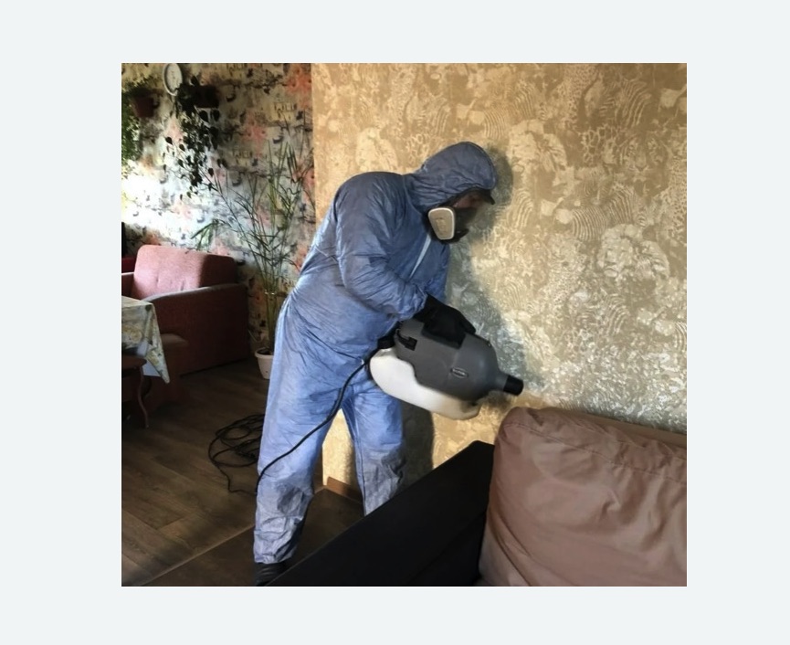 Уничтожение блох в квартире. Лихоборы Уничтожение блох в квартире