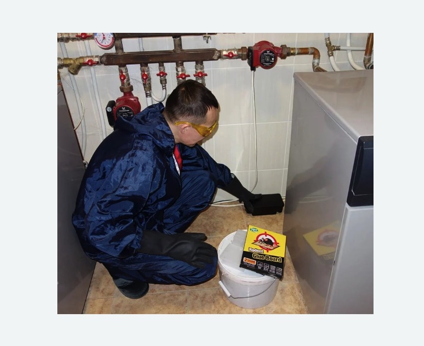 Уничтожение крыс Уничтожение крыс Лихоборы метро Москвы