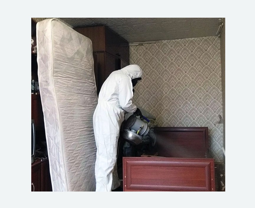 дезинфекция от клопов дезинфекция от клопов Лихоборы метро Москвы