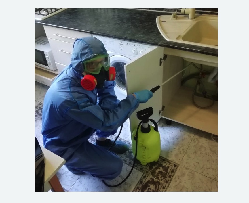 обработка от муравьев в квартире обработка от муравьев в квартире Лихоборы метро Москвы