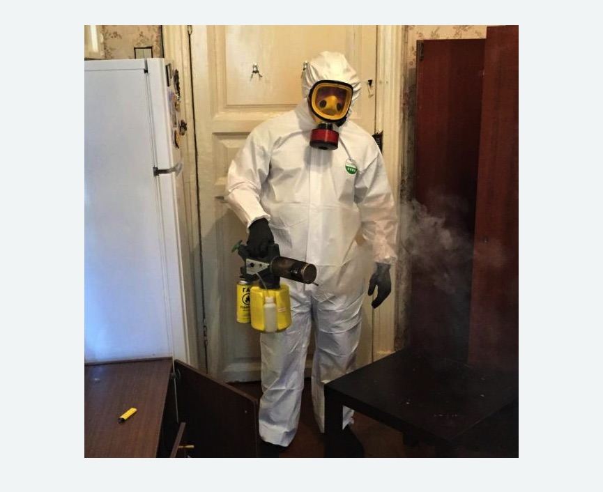 уничтожение муравьев в квартире уничтожение муравьев в квартире Лихоборы метро Москвы